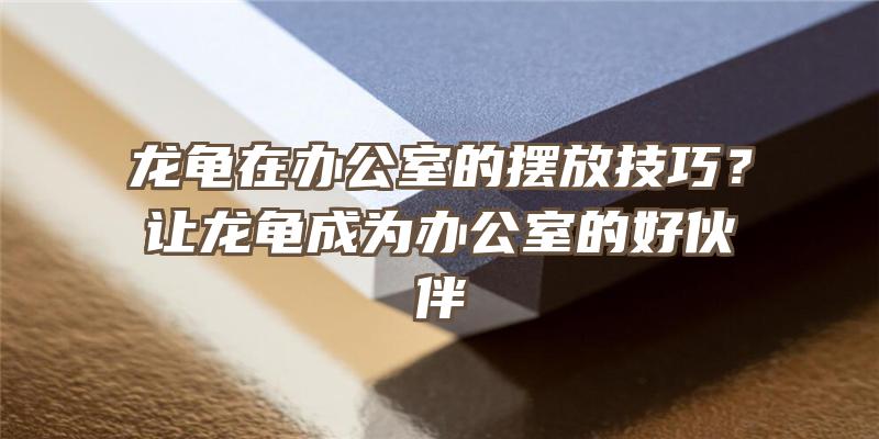 龙龟在办公室的摆放技巧？让龙龟成为办公室的好伙伴