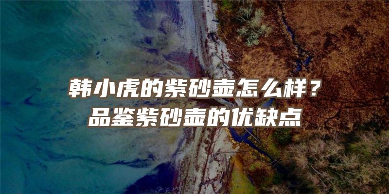 韩小虎的紫砂壶怎么样？品鉴紫砂壶的优缺点