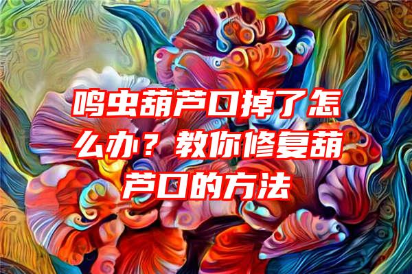 鸣虫葫芦口掉了怎么办？教你修复葫芦口的方法