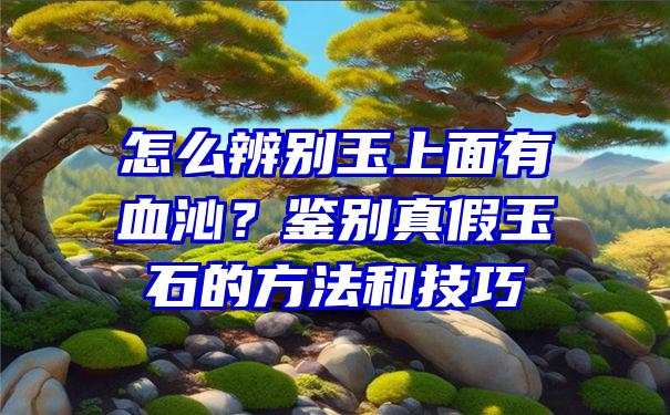 怎么辨别玉上面有血沁？鉴别真假玉石的方法和技巧