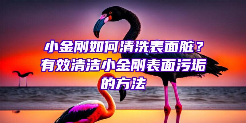 小金刚如何清洗表面脏？有效清洁小金刚表面污垢的方法