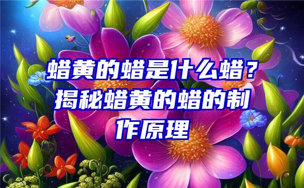 蜡黄的蜡是什么蜡？揭秘蜡黄的蜡的制作原理