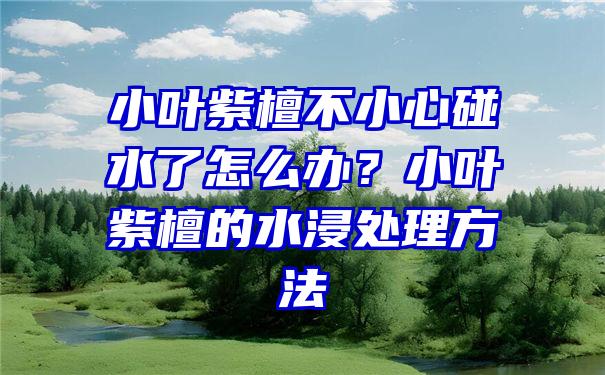 小叶紫檀不小心碰水了怎么办？小叶紫檀的水浸处理方法