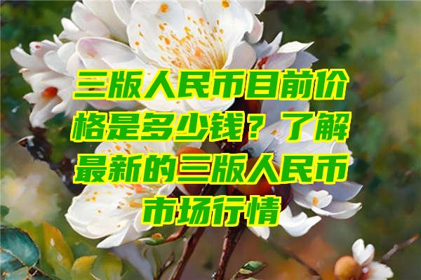 三版人民币目前价格是多少钱？了解最新的三版人民币市场行情