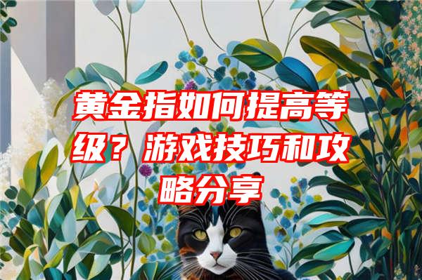 黄金指如何提高等级？游戏技巧和攻略分享