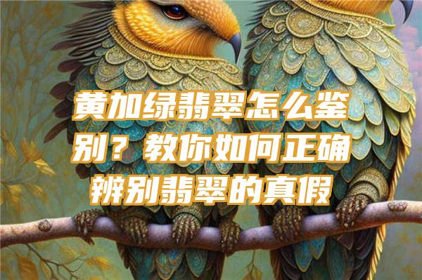 黄加绿翡翠怎么鉴别？教你如何正确辨别翡翠的真假