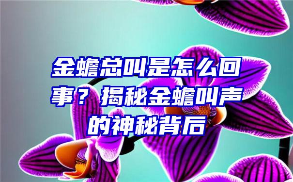 金蟾总叫是怎么回事？揭秘金蟾叫声的神秘背后