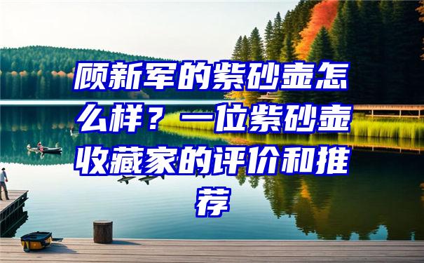 顾新军的紫砂壶怎么样？一位紫砂壶收藏家的评价和推荐