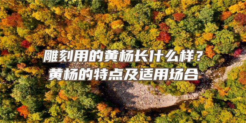 雕刻用的黄杨长什么样？黄杨的特点及适用场合