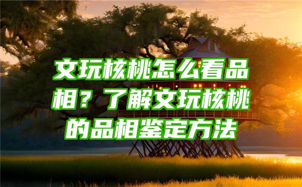 文玩核桃怎么看品相？了解文玩核桃的品相鉴定方法