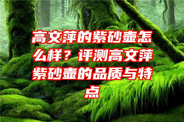 高文萍的紫砂壶怎么样？评测高文萍紫砂壶的品质与特点