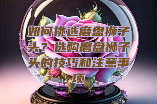 如何挑选磨盘狮子头？选购磨盘狮子头的技巧和注意事项