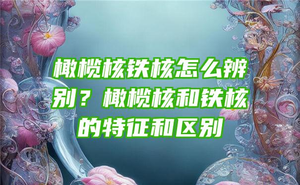 橄榄核铁核怎么辨别？橄榄核和铁核的特征和区别