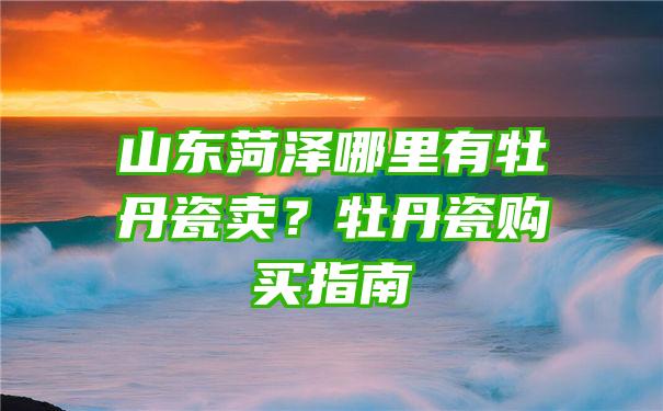 山东菏泽哪里有牡丹瓷卖？牡丹瓷购买指南