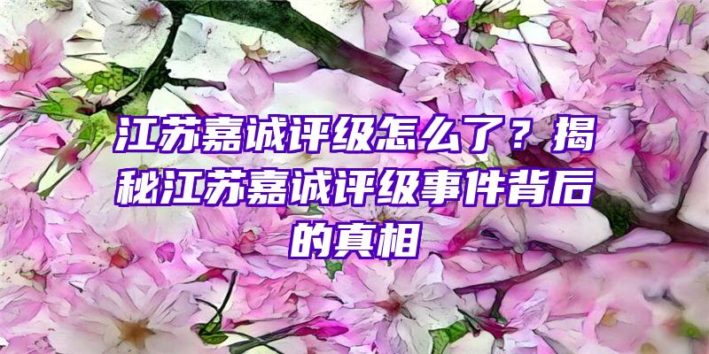 江苏嘉诚评级怎么了？揭秘江苏嘉诚评级事件背后的真相