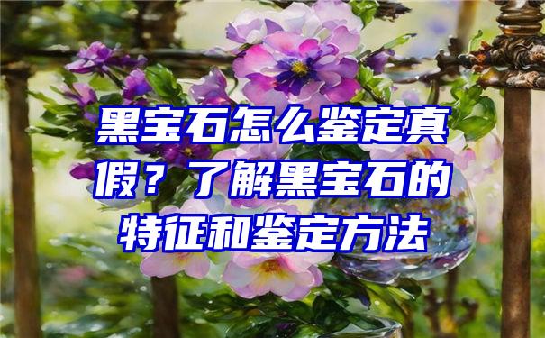 黑宝石怎么鉴定真假？了解黑宝石的特征和鉴定方法