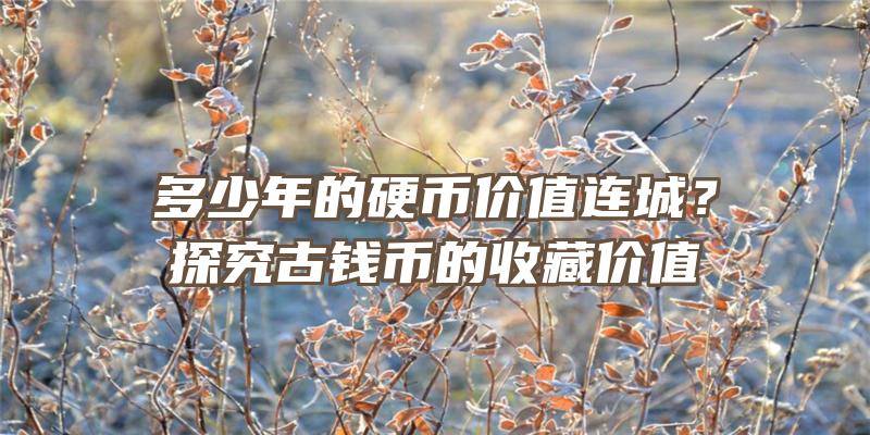 多少年的硬币价值连城？探究古钱币的收藏价值