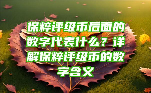 保粹评级币后面的数字代表什么？详解保粹评级币的数字含义