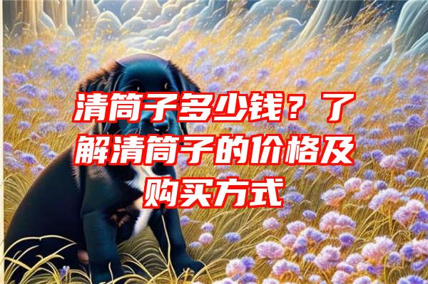 清筒子多少钱？了解清筒子的价格及购买方式