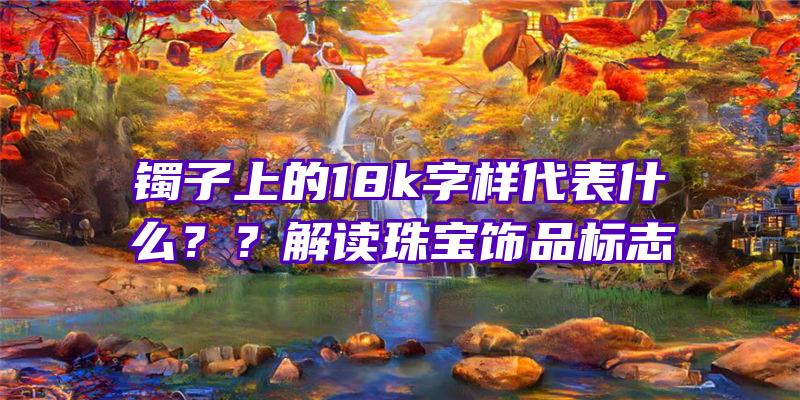 镯子上的18k字样代表什么？？解读珠宝饰品标志