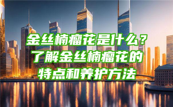 金丝楠瘤花是什么？了解金丝楠瘤花的特点和养护方法