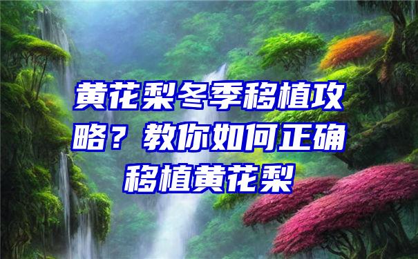 黄花梨冬季移植攻略？教你如何正确移植黄花梨