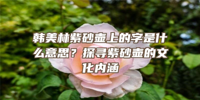 韩美林紫砂壶上的字是什么意思？探寻紫砂壶的文化内涵