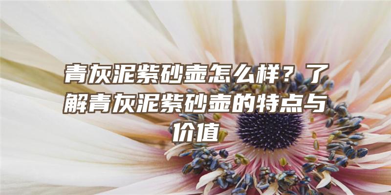 青灰泥紫砂壶怎么样？了解青灰泥紫砂壶的特点与价值