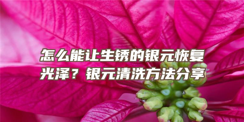 怎么能让生锈的银元恢复光泽？银元清洗方法分享