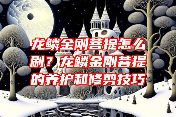 龙鳞金刚菩提怎么刷？龙鳞金刚菩提的养护和修剪技巧