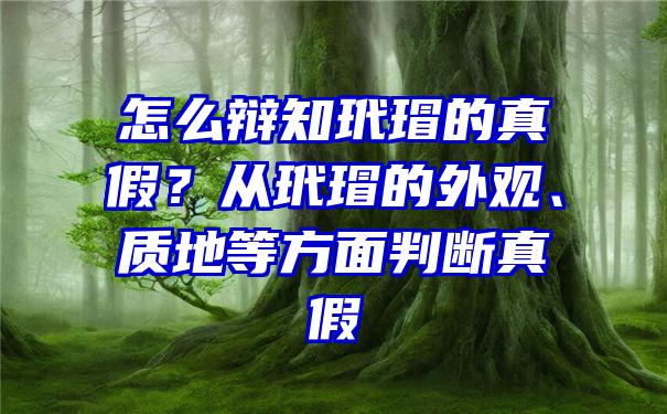 怎么辩知玳瑁的真假？从玳瑁的外观、质地等方面判断真假