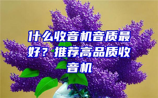 什么收音机音质最好？推荐高品质收音机