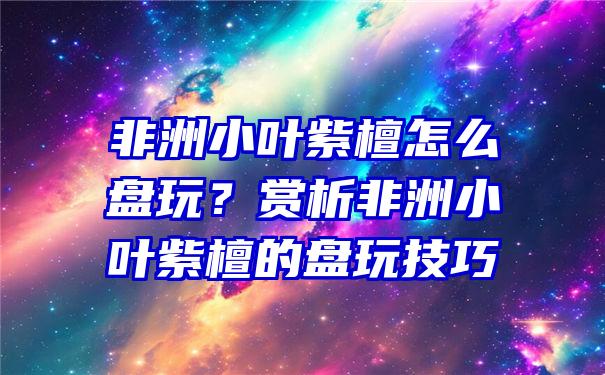 非洲小叶紫檀怎么盘玩？赏析非洲小叶紫檀的盘玩技巧