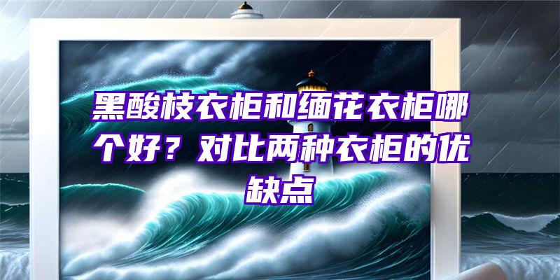 黑酸枝衣柜和缅花衣柜哪个好？对比两种衣柜的优缺点