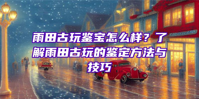 雨田古玩鉴宝怎么样？了解雨田古玩的鉴定方法与技巧