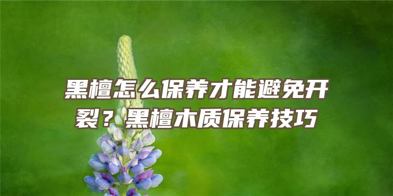 黑檀怎么保养才能避免开裂？黑檀木质保养技巧