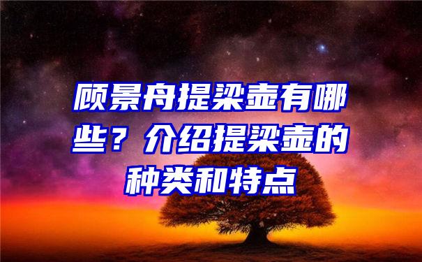 顾景舟提梁壶有哪些？介绍提梁壶的种类和特点