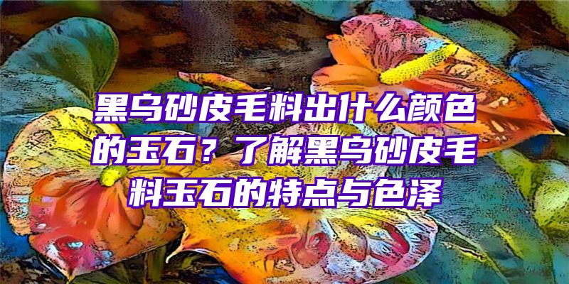 黑乌砂皮毛料出什么颜色的玉石？了解黑乌砂皮毛料玉石的特点与色泽