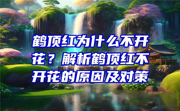 鹤顶红为什么不开花？解析鹤顶红不开花的原因及对策