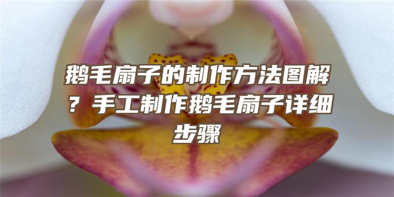 鹅毛扇子的制作方法图解？手工制作鹅毛扇子详细步骤