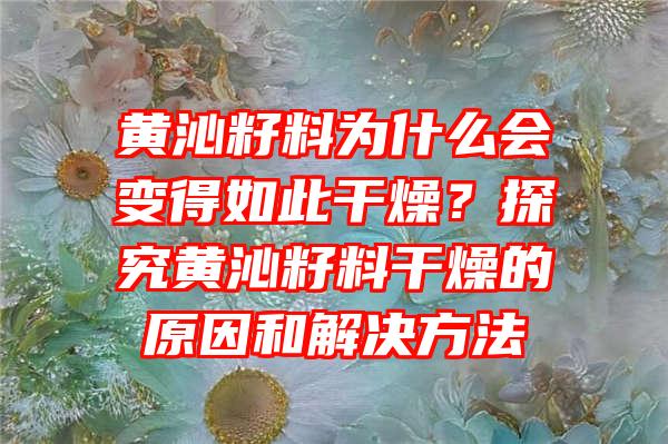 黄沁籽料为什么会变得如此干燥？探究黄沁籽料干燥的原因和解决方法