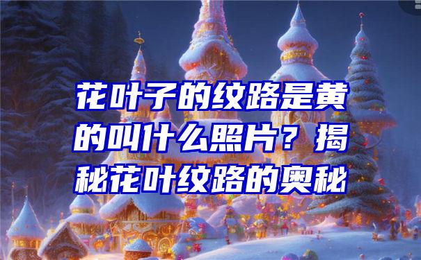 花叶子的纹路是黄的叫什么照片？揭秘花叶纹路的奥秘