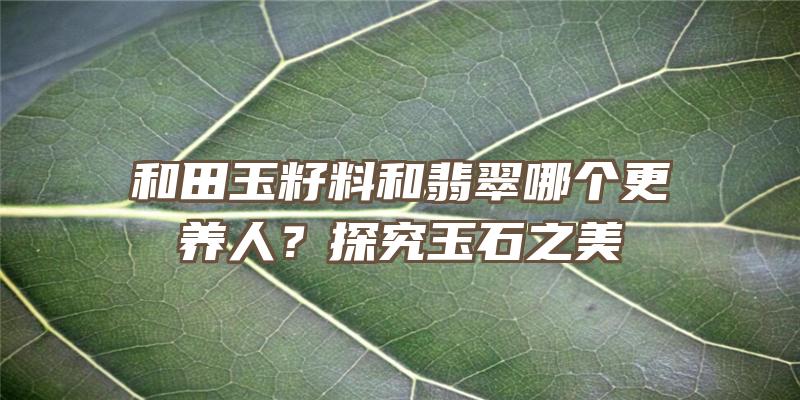 和田玉籽料和翡翠哪个更养人？探究玉石之美