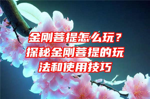 金刚菩提怎么玩？探秘金刚菩提的玩法和使用技巧