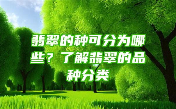 翡翠的种可分为哪些？了解翡翠的品种分类