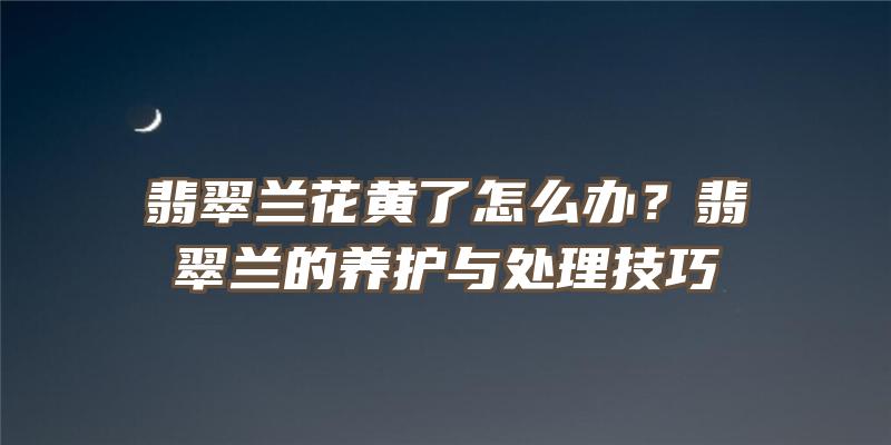 翡翠兰花黄了怎么办？翡翠兰的养护与处理技巧