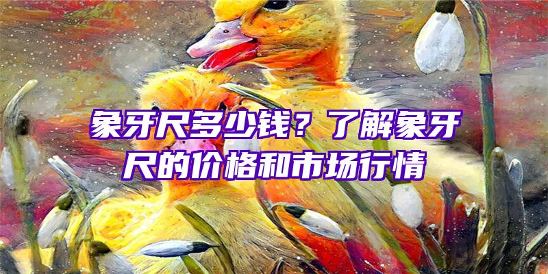 象牙尺多少钱？了解象牙尺的价格和市场行情