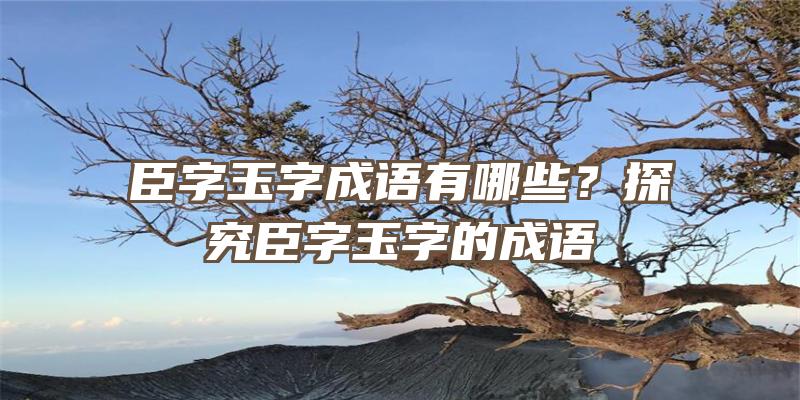 臣字玉字成语有哪些？探究臣字玉字的成语