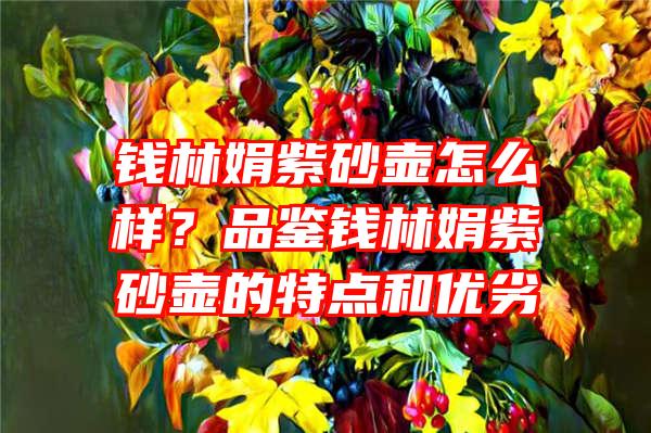 钱林娟紫砂壶怎么样？品鉴钱林娟紫砂壶的特点和优劣