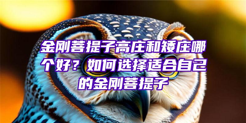 金刚菩提子高庄和矮庄哪个好？如何选择适合自己的金刚菩提子